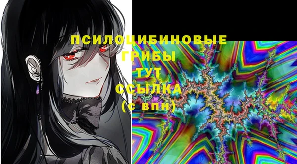 гидра Зеленокумск