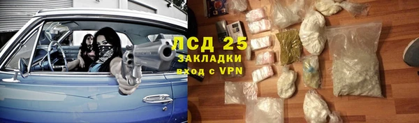 гидра Зеленокумск