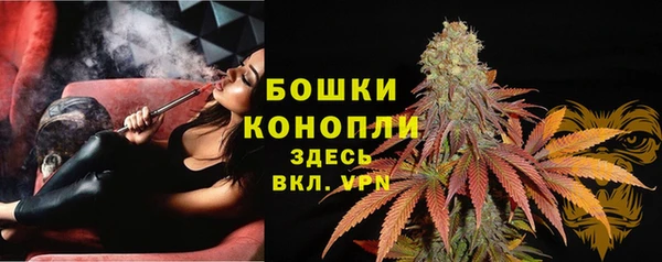 гидра Зеленокумск