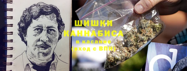 гидра Зеленокумск