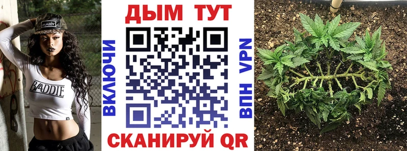 Купить где  Курган  Бошки марихуана AK-47 
